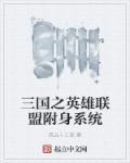 英雄联盟 三国皮肤