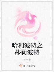 哈利波特之法神