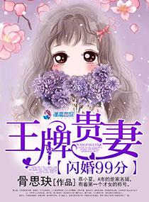 闪婚贵妻免费阅读网