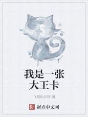 一张大王卡多少钱