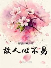 故人心不见