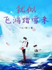 恰似飞鸿踏雪泥