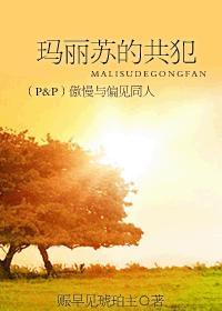 傲慢与偏见之玛丽同人文