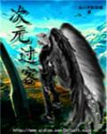 次元过客打不出伤害