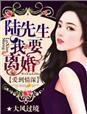 爱到情深陆先生我要离婚无删减