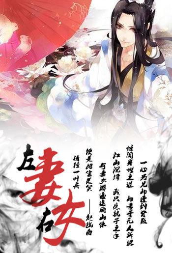 左妻右妾的